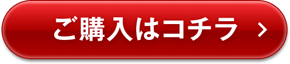 ご購入はコチラ